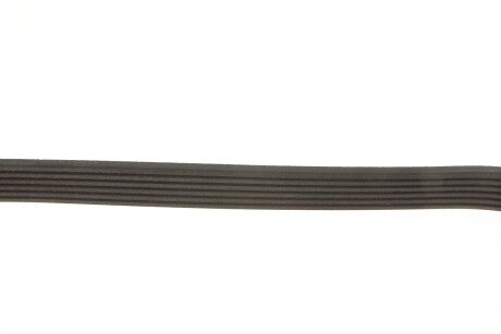 Привідний ремінь генератора meyle 0500061555