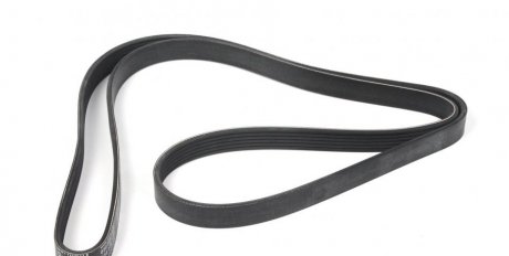 Привідний ремінь генератора meyle 0500061890