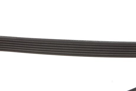 Привідний ремінь генератора meyle 0500062210