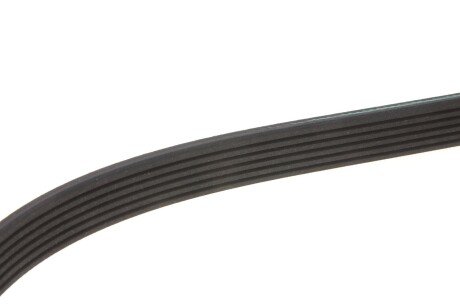 Приводной ремень генератора meyle 0500062260