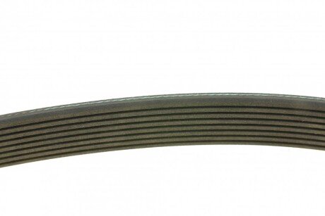 Привідний ремінь генератора meyle 0500081226