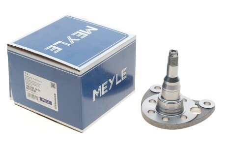 Ступиця задньої осі meyle 1005010011