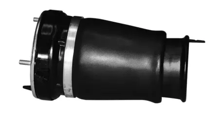 MONROE BMW Пневмоподушка передня права X5 (E53) 3.0 d 01-03 monroe ASP008