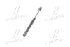 Амортизатор багажника AUDI; SKODA; Volkswagen (пр-во) monroe ML5135
