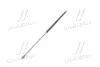 Амортизатор багажника MONROE monroe ML5128