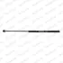 MONROE газовый амортизатор багажника FORD FIESTA V 11.01- TAILGATE - HATCHBACK 3 DOORS Monroe ML5205 (фото 1)
