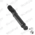Передний амортизатор (стойка) monroe D8497S