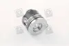 Поршень 76.00 Renaul Clio/Kangoo/Megane/Dacia Logan 1.5dCi 06- MOPART 102-75480 00