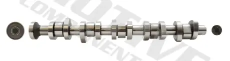 Распредвал, 2.5TDI (BNZ/BPC) 03-10 motive T069S