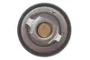 Термостат Renault Megane III/Scenic/Hyundai H-1/KIA Ceed/Rio 1.2/1.4/1.6i 97- (82C) MOTORAD 647-82K (фото 3)