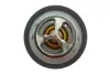 Термостат Renault MOTORAD 45795K