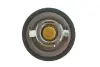 Термостат Renault MOTORAD 45795K