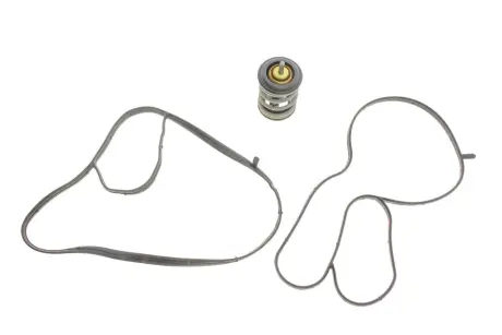 Термостат VW MOTORAD 973105K
