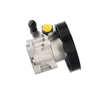 Насос ГУР новый CITROEN Jumpy 95-07,FIAT Scudo 95-04, PEUGEOT 406 95-04, PEUGEOT 806 94-02 MSG FI017