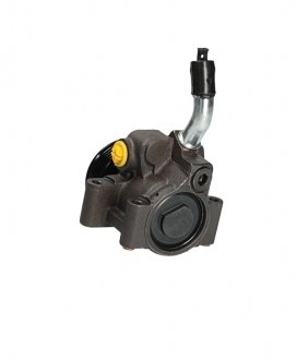 Насос ГУР новый FORD FIESTA 2001-2009,FORD FUSION 2001-2009 msg FO010