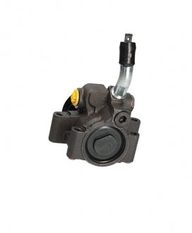 Насос ГУР новый FORD FIESTA 2001-2009,FORD FUSION 2001-2009 msg FO010