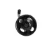 Насос ГУР новый NISSAN Murano Z51 2008-, NISSAN Teana 2008- MSG NI042