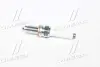 Свеча зажигания PLATINUM VAG 1.2-1.4 TSI 12- (пр-во) NGK PZKER7B8EGS (фото 3)
