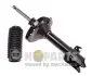 Передній амортизатор (стойка) Nipparts N5507012G (фото 1)