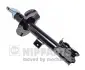Передний амортизатор (стойка) nipparts N5513024G