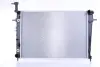 Радіатор охолодження двигуна Nissens 675005 (фото 1)