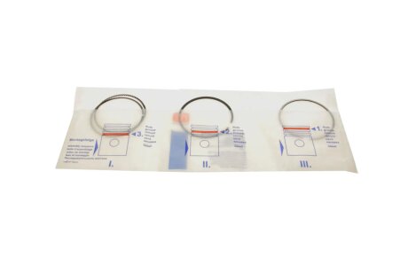 Поршневые кольца npr 120038002100