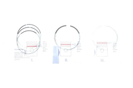 Поршневые кольца npr 120038005300 на Рено Сценик 1