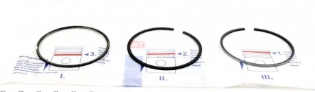 Поршневые кольца npr 120021005300