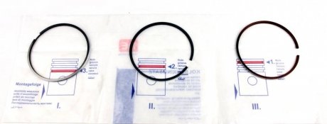 Поршневые кольца npr 120100002100