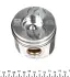 Поршень Fiat NPR 130020001020 (фото 3)
