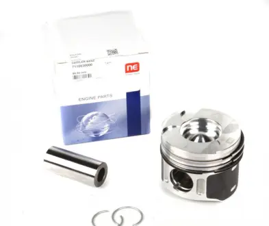 Поршень MB NPR 130010000300
