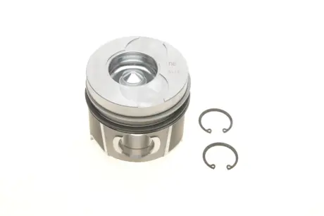 Поршень NPR DSC130038002421