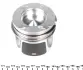 Поршень Renault NPR 130038001421