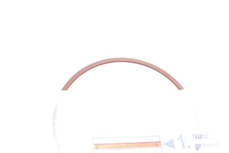 Поршневые кольца npr 120035004600