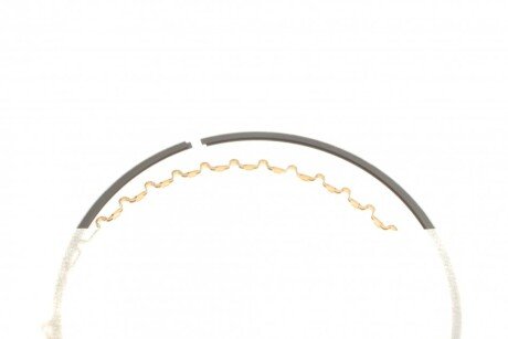 Поршневые кольца npr 120038004200