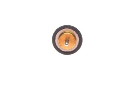 Термостат, охлаждающая жидкость nrf 725069