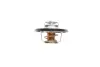 Термостат NRF 725136 (фото 3)