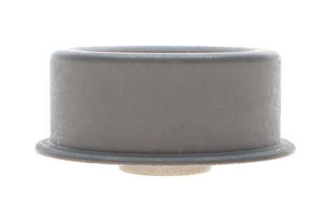 Ролик модуля натягувача ременя ntn snr GT36807