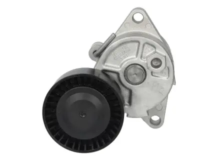 Натяжна планка поліклинового паска BMW 3 E36/E46/Z3 94- NTN SNR GA350.27