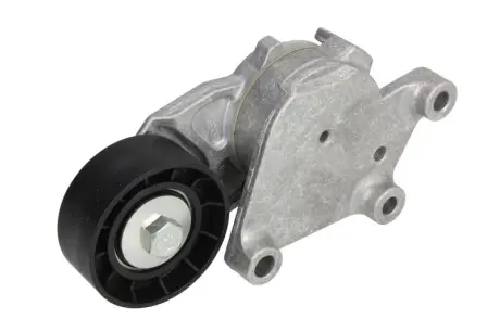 Натяжной ролик, поликлиновой ремень FORD (Пр-во NTN-SNR) NTN SNR GA359.00