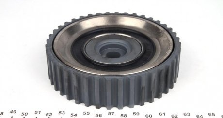 Ролик-шестерня розподільчого валу Renault Megane 1.9DTI 00-/Kangoo 00- ntn snr DAMP1
