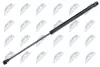 Амортизатор багажника VW Polo Liftback 10.01-11.09 NTY AEVW031