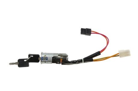 Контакт. група замка запалювання (з ключем) Renault R21 85-94/Master/Movano nty ESTRE002