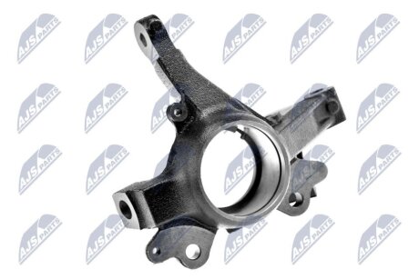 Цапфа (поворотный кулак) nty ZZPFT003