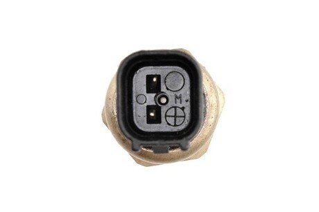 Датчик тиску насоса Г/П Ford C-Max, Focus, 04- nty ECWFR000