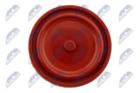 Мембрана Citroen/Peugeot 1.6HDI 05-/Ford 1.6Tdci 03- nty BPZCT005