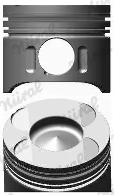Поршневые кольца nural 87-117900-00