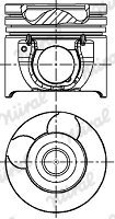 Поршневые кольца nural 8743170700