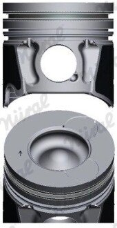 Поршневые кольца nural 8743670800 на Ситроен С5 х7