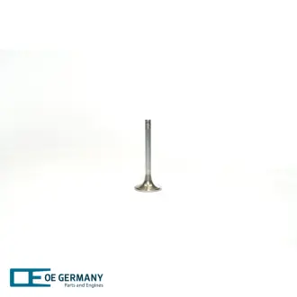 Впускний клапан OE Germany 020520280000